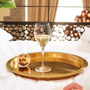 ����� ������� ��� ����������� Exaltation 300�� Q1151/1