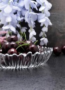 ����� �������� Aurora 25�19�� 10547