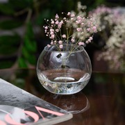 ���� Flora 20�� 45078