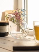 ���� Flora 20�� 45078