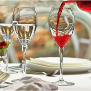 ����� ��� ���� Monte Carlo 445�� 440088-1