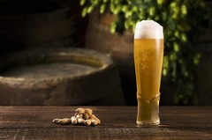 ���� ������� ��� ���� Craft 455�� 420748-4