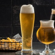 ���� ������� ��� ���� Craft 455�� 420748-4