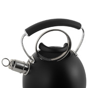 ������ 2,5� OF-100311