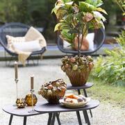 ����� Lemoni 33�� 5712661