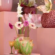 ���� Tulip 26�� 5720690