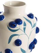 ���� Blueberry 25,5�� 5721029