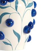 ���� Blueberry 30,5�� 5721129