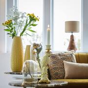 ���� Corn 41�� 5835861