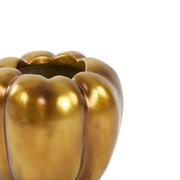 ���� Bellpepper 21�� 5836318