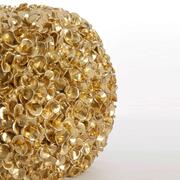 ���� Phylia 30�� 5857385