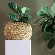 ���� Phylia 30�� 5857385