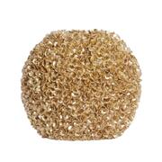 ���� Phylia 28�� 5885885