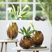 ���� Zenia 21,5�� 5725464