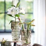 ���� Douro 22�� 5867427