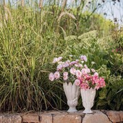 ���� Crocus pink 26,5�� U30884108A93