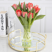 ���� Asta Ribs 18�� 35446