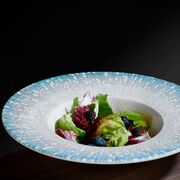 ������� ��� ����� Vista 25�� VIS-ZT-25-CK