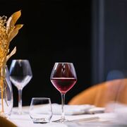 ����� ��� ���� Cabernet Vins Jeunes 580�� E2789