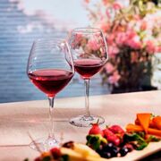 ����� ��� ���� Cabernet Vins Jeunes 470�� E2790