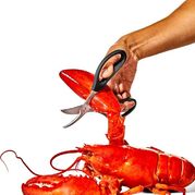 ������� ��� ������������� Good Grips 19,3�� 11350600