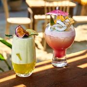 ����� Agrippa 60�� 11913220