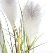 �������� ������������ ��������� 81�� 930590