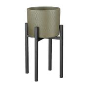 ��������� ��� ������ Ascot 25�� 1006645