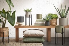 ϳ������� ��� ������ Ascot 55�� 1006648