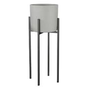 ϳ������� ��� ������ Ascot 55�� 1006648