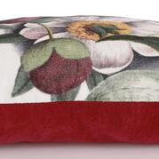 ������� ����������� Rosario 50�50�� 1114089