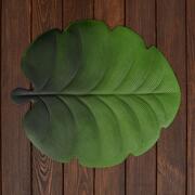���� ������� ������������� Leaves 45�39�� LEAVES-Calathea-6set