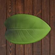 ����� �������� ������������� Leaves 44�28�� LEAVES-Ficus-6set