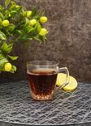 ���� ����� Safir 250�� 55713-6