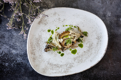 ������ ������� Nacrous 24�� MT-NCRVAO24DZ