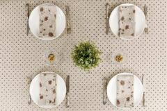 ���� �������� ������������� ��������� ����� ���������� 35�45�� 4823093459380