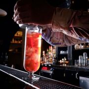 ����� ��� ��������� Levitas 200�� 753042