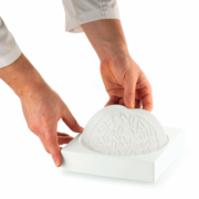 ������� ��� ������ 18�� CHEESECAKE DECOR