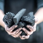 ����� ��������� Big Green Egg ��������� 9�� 818924