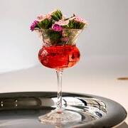 ����� ��� �������� Bloom Nick & Nora 155�� 10000005020