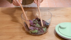 ������� ��� ������ Tasty + Cook & Serve Jade Green 25�� 145407