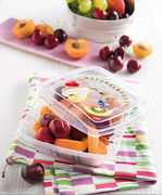 ���� ���������� Food Conteiners 500�� SN055000