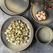 ����� ��� ���� Hornfels 205�� HORRPL02KF