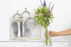 ���� Jess 23,8�� 38017