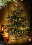 ��������� ��� ���� 14,5�39,7�� 5900410077324