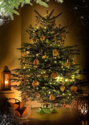 ��������� ��� ���� 13,2�39,5�� 5900410122741