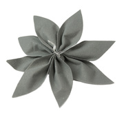 ���� ��������� ������� ����� �������� � ���������� 17�� 5900410699984