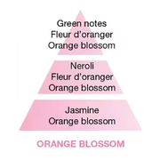 ������������� Ice Cube � �������� Diffusers Orange Blossom 125�� 6876