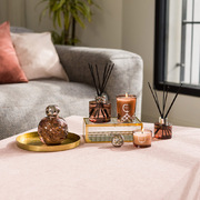 ������������� Joy � �������� Diffusers Agave Garden 180�� 6847