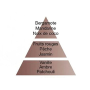 ������ ��� �������� Aromas Oriental Star 200�� 6046